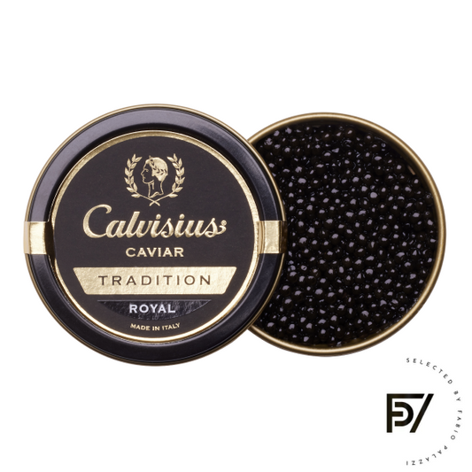 Calvisius Tradition Royal